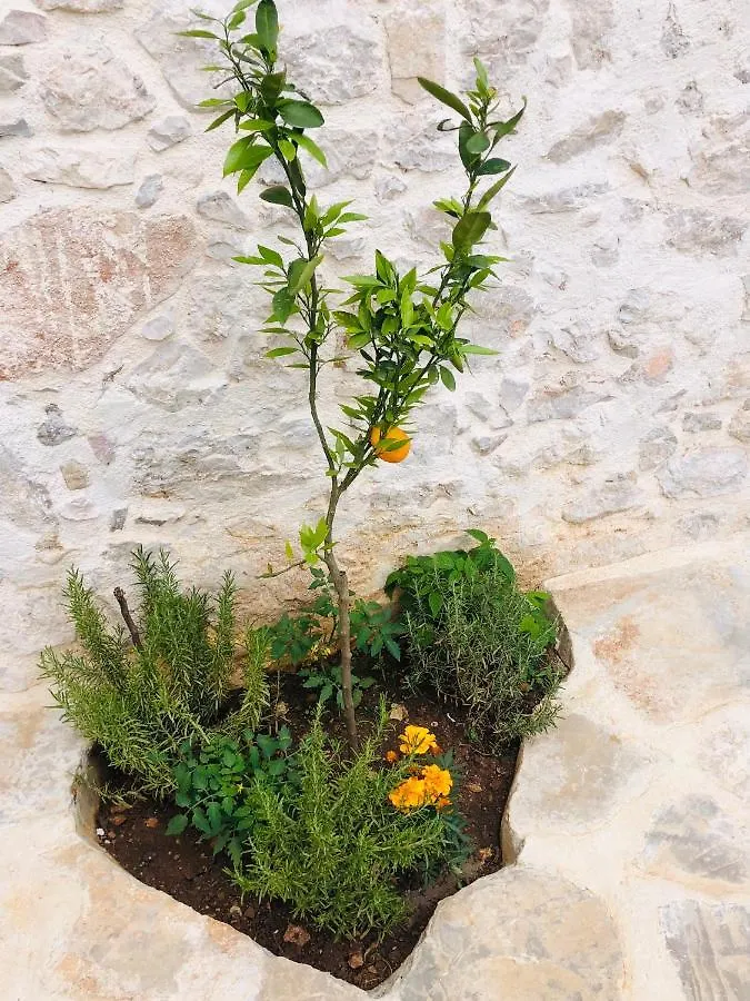 Villa Kata Preko Appartamento